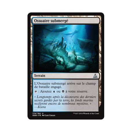 Ossuaire submergé / Submerged Boneyard