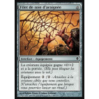 Filet de soie d'araignée / Spidersilk Net