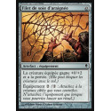 Filet de soie d'araignée / Spidersilk Net