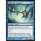 Hibou des tempêtes / Tempest Owl
