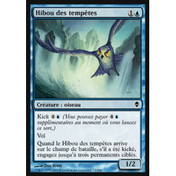 Hibou des tempêtes / Tempest Owl