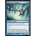Hibou des tempêtes / Tempest Owl