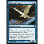 Sterne des nues / Welkin Tern