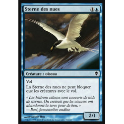 Sterne des nues / Welkin Tern