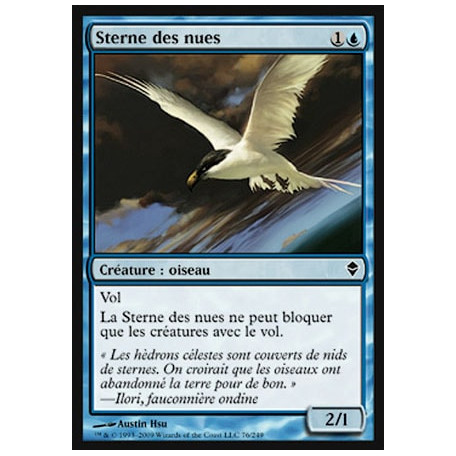 Sterne des nues / Welkin Tern