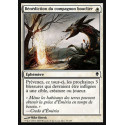 Bénédiction du compagnon bouclier / Shieldmate's Blessing