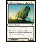 Buffle des champs de piliers / Pillarfield Ox