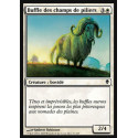 Buffle des champs de piliers / Pillarfield Ox