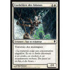 Cordelière des falaises / Cliff Threader