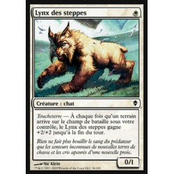 Lynx des steppes / Steppe Lynx