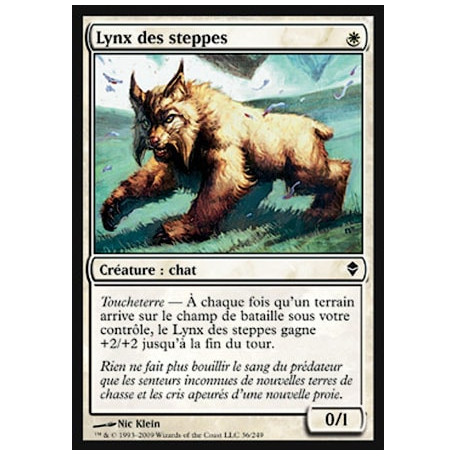 Lynx des steppes / Steppe Lynx