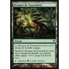 Bosquet de Tournebois / Turntimber Grove