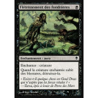 Flétrissement des fondrières / Mire Blight