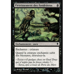 Flétrissement des fondrières / Mire Blight