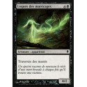 Loques des marécages / Bog Tatters