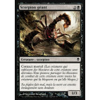 Scorpion géant / Giant Scorpion