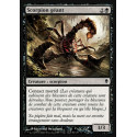 Scorpion géant / Giant Scorpion
