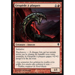 Géopède à plaques / Plated Geopede