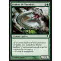 Avaleur de Vastebois / Vastwood Gorger
