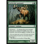 Cerfeclair paissant / Grazing Gladehart