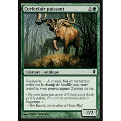 Cerfeclair paissant / Grazing Gladehart