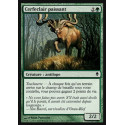 Cerfeclair paissant / Grazing Gladehart