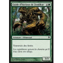 Guide d'horizon de Zendikar / Zendikar Farguide