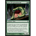 Larve de gueulebreuil / Timbermaw Larva