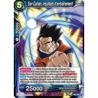 TB1-028 R Son Gohan, résultats d'entraînement