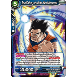 TB1-028 R Son Gohan, résultats d'entraînement