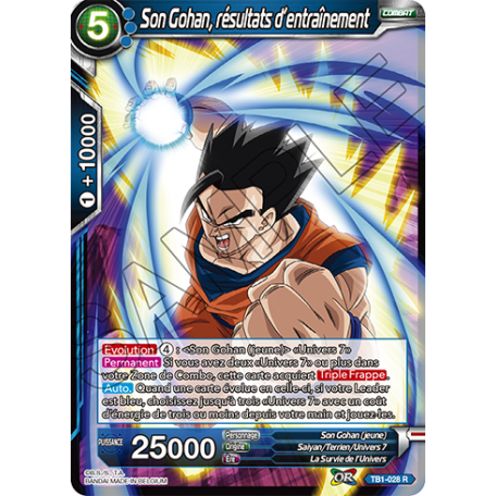 TB1-028 R Son Gohan, résultats d'entraînement