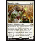 Loxodon Vénéré / Venerated Loxodon