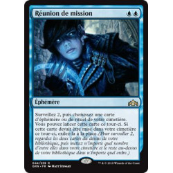 Réunion de mission / Mission Briefing