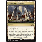 Forum des ghildmages / Guildmages' Forum