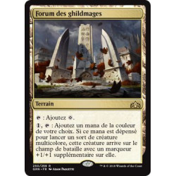 Forum des ghildmages / Guildmages' Forum