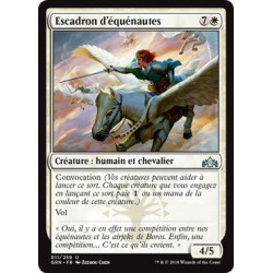 Escadron d'équénautes / Flight of Equenauts