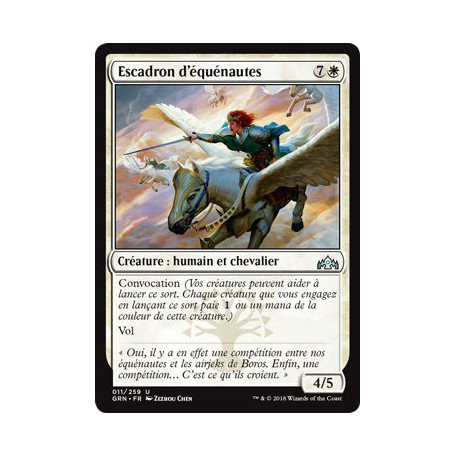 Escadron d'équénautes / Flight of Equenauts