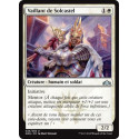 Vaillant de Solcastel / Sunhome Stalwart