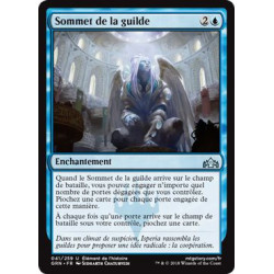Sommet de la guilde / Guild Summit