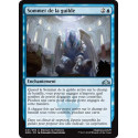 Sommet de la guilde / Guild Summit