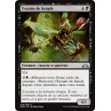 Essaim de krauls / Kraul Swarm