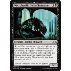 Nécrobasilic de la Citerraine / Undercity Necrolisk
