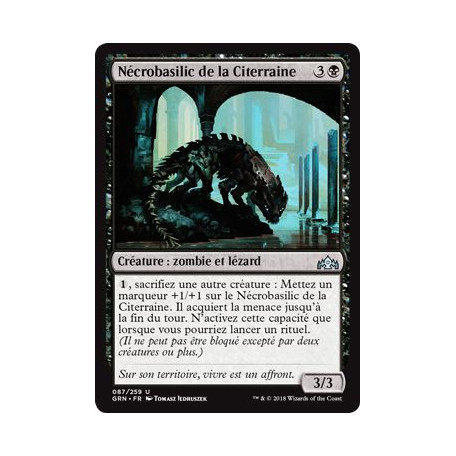 Nécrobasilic de la Citerraine / Undercity Necrolisk