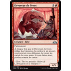 Dévoreur de livres / Book Devourer