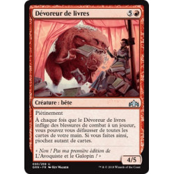 Dévoreur de livres / Book Devourer