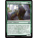 Élemental arboretum / Arboretum Elemental