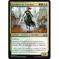 Cavalière du Conclave / Conclave Cavalier