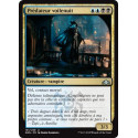 Prédateur voilenuit / Nightveil Predator