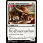 Bête de somme envahissante / Intrusive Packbeast