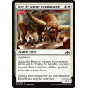 Bête de somme envahissante / Intrusive Packbeast